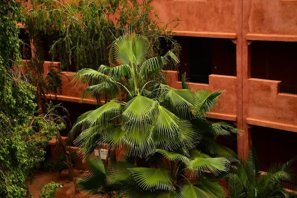Oasis Aux Palmeraies A Marrakech Appartement Marrakesh