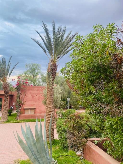 Oasis Aux Palmeraies A Marrakech *
